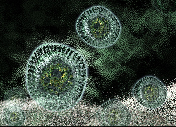 Avian Flu Virus - SARS Cellular Infection - Picture, Image, Illustration